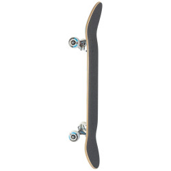 Deskorolka Push Toucan Fade 8.25"
