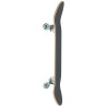 Deskorolka Push Toucan Fade 8.25"